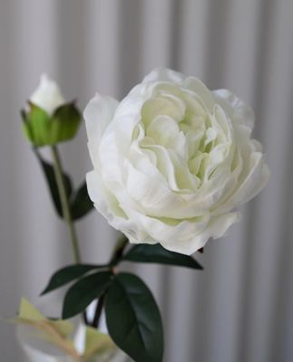 Artificial Closed Peony - White