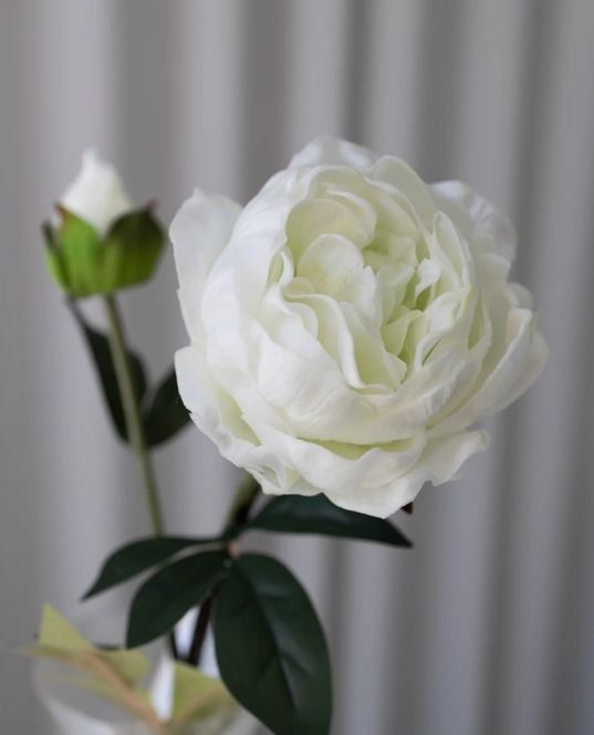 Hovedbilde Artificial Closed Peony - White